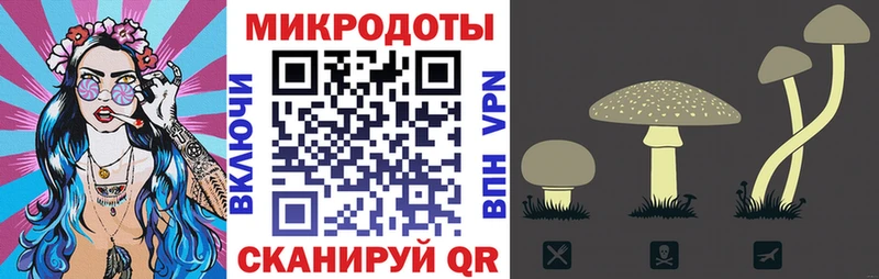 KRAKEN зеркало  Щёлково  Псилоцибиновые грибы Psilocybine cubensis  закладка 
